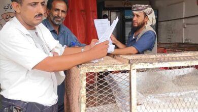 صحة البيئة في مديرية لودر تلزم عمال المطاعم والمقاهي بالحصول على البطاقة الصحية