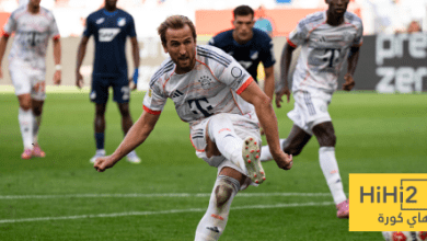 أرقام هاري كين ضد هوفنهايم في الدوري الألماني