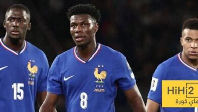 كل ما قدمه تشواميني أمام أيسلندا