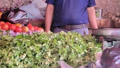 أسعار الخضار في مديرية الشيخ عثمان