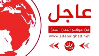 عاجل.. تصريح مفاجئ للمحرمي: القرارات الفردية سبب الانقسام داخل مجلس القيادة الرئاسي