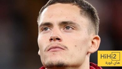 فيرتز لا يحتاج لتعلم كرة القدم