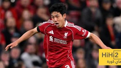 كل ما قدمه إيندو أمام ساوثهامبتون