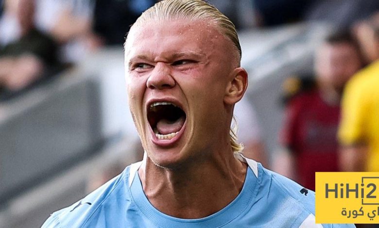 كم عدد أهداف هالاند في البريميرليغ؟