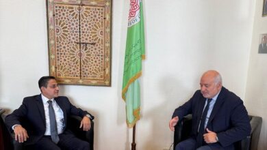 السفير شجاع الدين يبحث التعاون في مجال الطاقة الكهربائية مع الغرفة التجارية العربية النمساوية