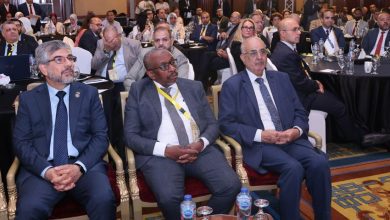 اليمن يشارك في المؤتمر المهني الدولي لاتحاد المحاسبين والمراجعين العرب بالقاهرة