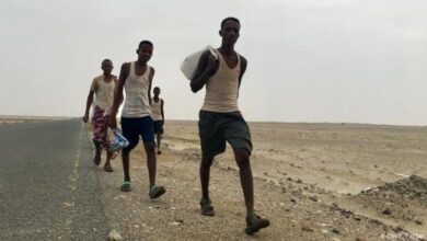 انخفاض كبير في أعداد المهاجرين غير الشرعيين في مديريات الساحل الغربي