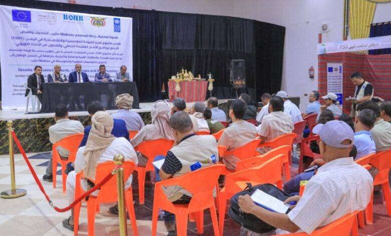انعقاد ندوة علمية متخصصة بمأرب حول "زراعة السمسم.. التحديات والفرص"