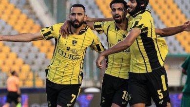 وادي دجلة وسموحة