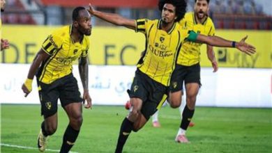 وادي دجلة وسموحة