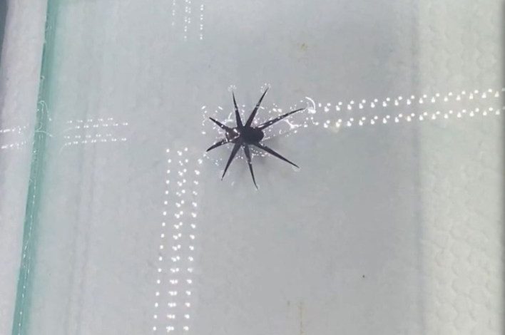 تقنية مبتكرة تمكّن الروبوتات من السير على الماء بحركة مدعومة بالحرارة