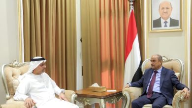 رئيس الحكومة: دعم الإمارات أساسي في تماسك مؤسسات الدولة