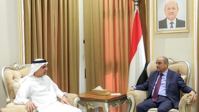 رئيس الوزراء يشيد بالعلاقات المتميزة مع الامارات ويؤكد ان دعمها أساسي لتماسك مؤسسات الدولة