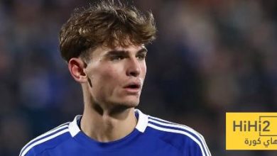 فيديو.. نيكو باز يسجل هدف رائع ضد جنوي