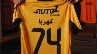 محمود عبد المنعم كهربا