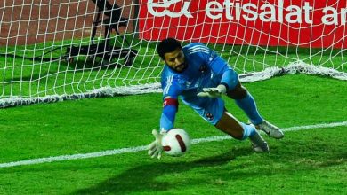 محمد الشناوي