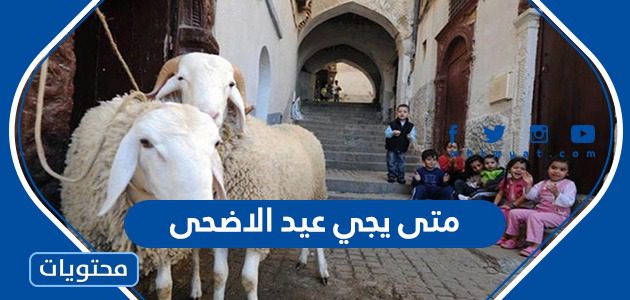 متى يجي عيد الاضحى 1447 / 2026