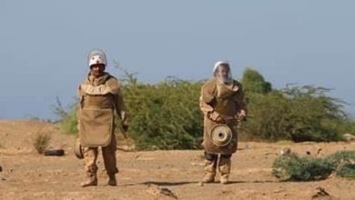 "مسام" ينزع 1,103 ألغام حوثية في أسبوع واحد