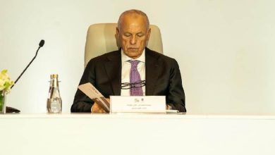 هاني أبو ريدة