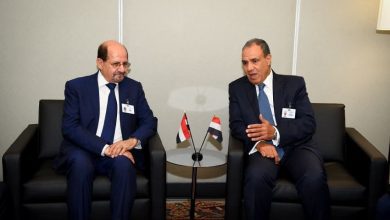 وزير الخارجية يبحث مع نظيره المصري العلاقات الثنائية بين البلدين