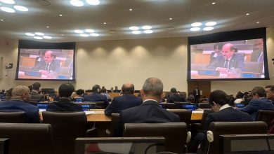 وزير الخارجية يشارك في الاجتماع الوزاري لمنظمة التعاون الإسلامي