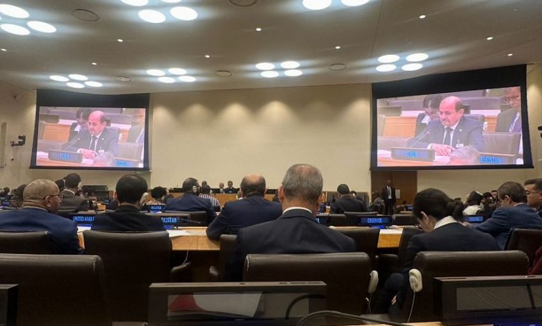 وزير الخارجية يشارك في الاجتماع الوزاري لمنظمة التعاون الإسلامي