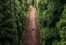 في ذكرى رحيل شقيق