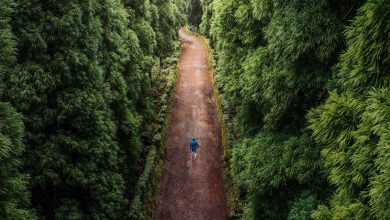 في ذكرى رحيل شقيق