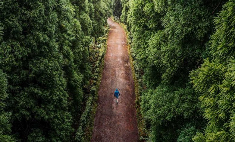 في ذكرى رحيل شقيق