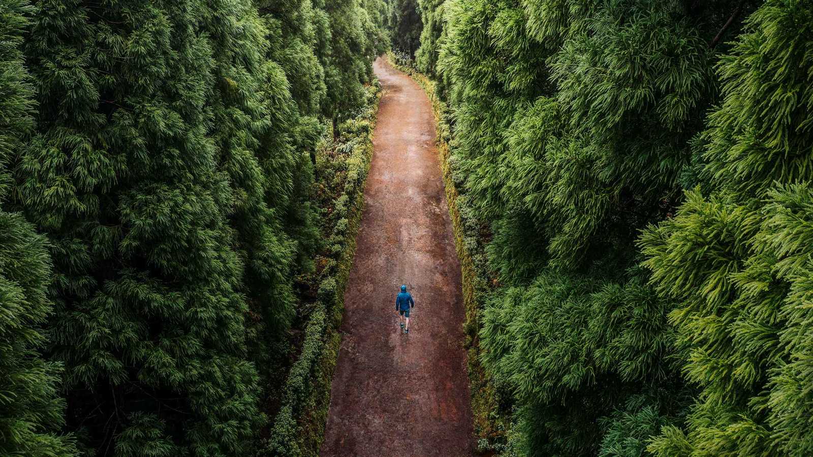 في ذكرى رحيل شقيق