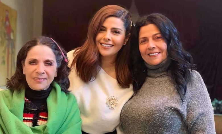 لحظة إنقاذ مؤثرة تكشف رابطة الأمومة بين الفيلة (فيديو)