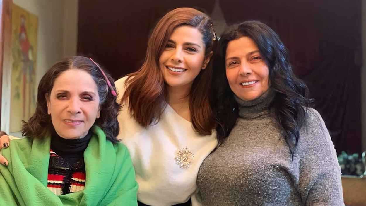 لحظة إنقاذ مؤثرة تكشف رابطة الأمومة بين الفيلة (فيديو)