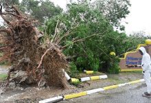 الفقد والحزن.. كيف نتعافى بعد رحيل من نحب؟