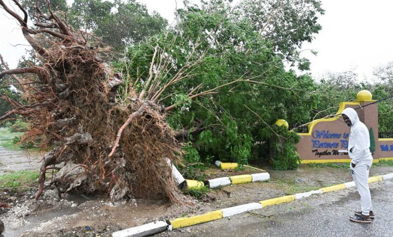 الفقد والحزن.. كيف نتعافى بعد رحيل من نحب؟