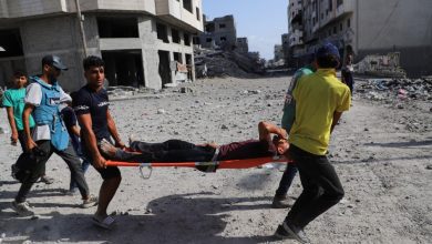 14 شهيد خلال 24 ساعة بغزة