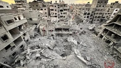 غزة يجب أن تكون جزءا من حل الدولتين