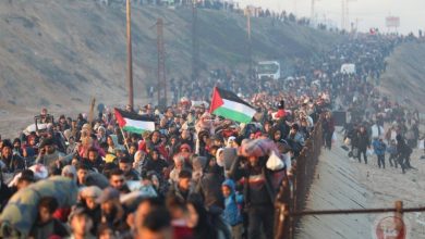 734 يوما للحرب .. الفلسطينون ينتظرون بدء تنفيد وقف إطلاق النار