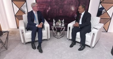 وزير الخارجية يؤكد ضرورة ضمان نفاذ المساعدات الإنسانية لغزة