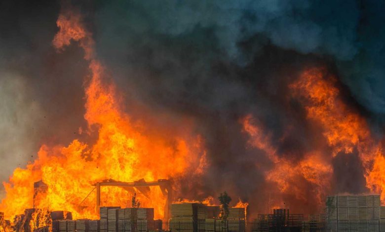 ماجد المصري يكشف عن مشروعاته وينفي حضوره في