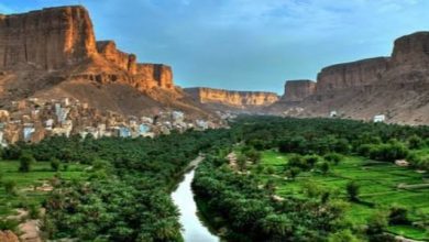 اخبار-حضرموت-|-صفقة-المليون-لتر.-حلف-بن-حبريش:-اتفاق-سري-ليبيع-ديزل-حضرموت-بسعر-السوق!