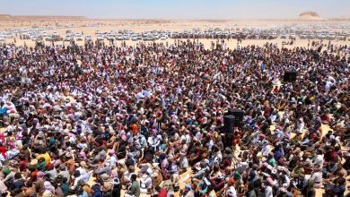 اخبار-حضرموت-|-تقرير:-فشل-حلف-الهضبة-في-تحقيق-التفاهمات-مع-السلطة-المحلية-بحضرموت