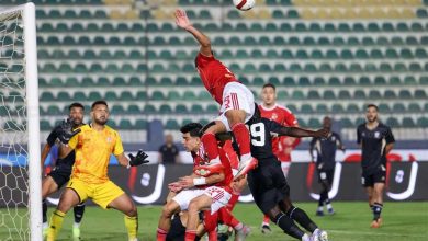 شباكه المفضلة.. جراديشار يكرر سيناريو الموسم الماضي ويسجل في بتروجت