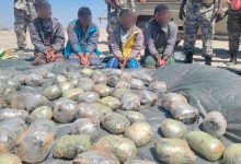 كميات الحبوب المخدرة المضبوطة