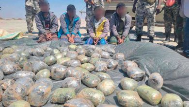 كميات الحبوب المخدرة المضبوطة