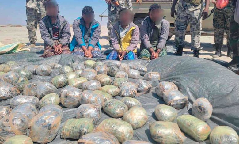 كميات الحبوب المخدرة المضبوطة