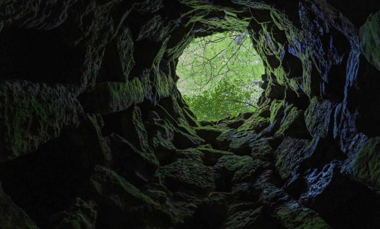 شجار عائلي يتحول إلى جريمة قتل مروعة في حمص