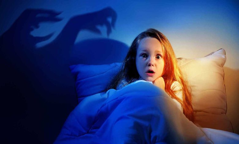 فلوريدا تحارب الثعابين بتحويلها لحقائب يد