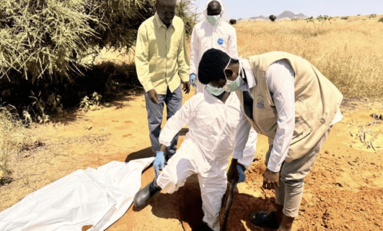 السودان.. "جثث على الطرقات".. رحلة الموت من الفاشر إلى طويلة هربا من الجوع والرعب