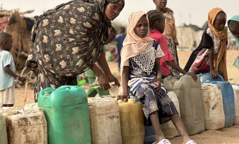 السودان.. محاصرون في الفاشر يأكلون جلود الأبقار للبقاء على قيد الحياة (فيديو)