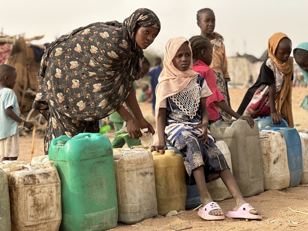 السودان.. محاصرون في الفاشر يأكلون جلود الأبقار للبقاء على قيد الحياة (فيديو)